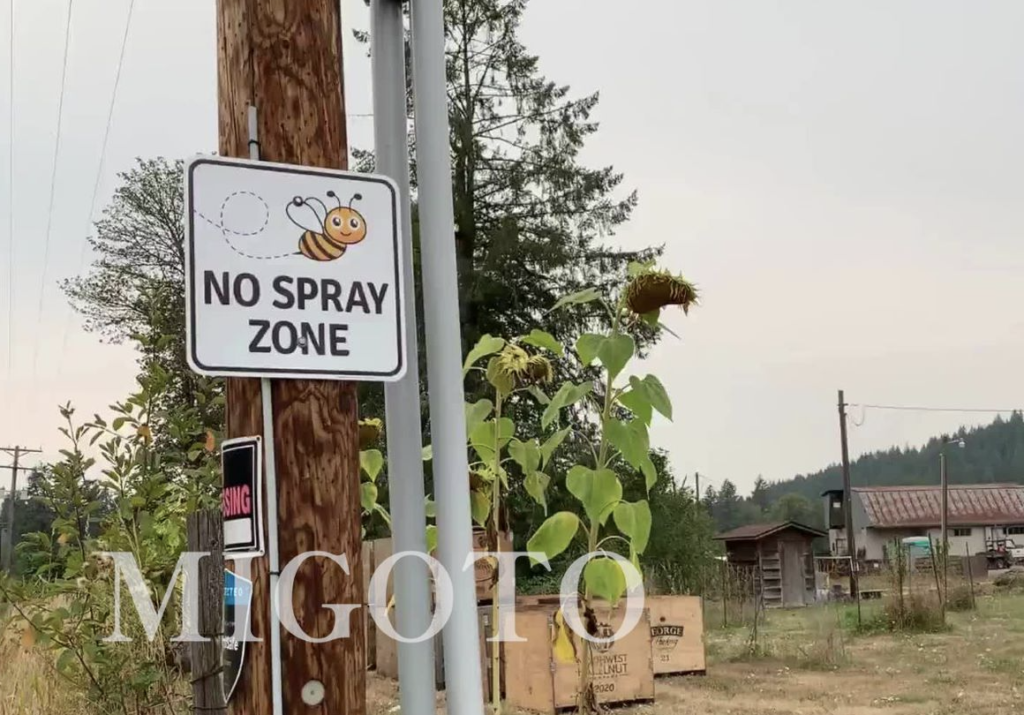 no spray zone